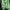 Adidas Yeezy Green Light Motif photo 2