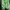 Adidas Yeezy Green Light Motif