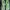 Adidas Yeezy Green Light Motif photo 4