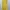 Casual Skirt Wanita yellow photo 1