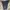 Eider celana pendek utility size 28 photo 3
