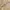 Luxury Midi dress Wanita yellow photo 3