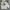 Hoodie Santa Cruz Tapped Rare Size 14Y Fit M Dewasa photo 1