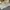 Hoodie Santa Cruz Tapped Rare Size 14Y Fit M Dewasa photo 6