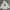 Hoodie Santa Cruz Tapped Rare Size 14Y Fit M Dewasa photo 5
