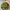 Hoodie Santa Cruz Tapped Rare Size 14Y Fit M Dewasa photo 4