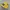 Rare Vans Authentic Yellow waffle code GSI Original photo 1