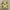 Rare Vans Authentic Yellow waffle code GSI Original photo 2