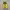 Rare Vans Authentic Yellow waffle code GSI Original photo 3