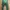 Nike cargo pants BNWT photo 5