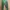 Nike cargo pants BNWT photo 1