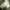 Nike cargo pants BNWT photo 7