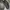 Crocs classic clog kids photo 2