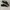Lacoste Sevrin 316 black photo 1