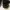 OWND — Gorkhas Black photo 4