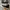 Converse Allstar Hi Black White photo 3
