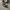 Converse Allstar Hi Black White photo 1
