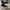 Converse Allstar Hi Black White photo 4