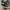 Converse Allstar Hi Black White photo 2