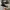 Converse Allstar Hi Black White photo 4
