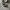 Converse Allstar Hi Black White photo 1