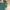 Covernat Casual T-shirt Pria Green photo 4