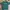 Covernat Casual T-shirt Pria Green