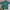 Covernat Casual T-shirt Pria Green photo 2