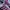 Adidas Gorpcore Indie Sneakers Wanita white pink photo 2