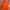 T-Shirt F.Illuminate Pocket Orange Original photo 2