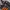Adidas Gorpcore Indie Sneakers Pria black orange photo 3
