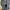 Nike air monarch original photo 3