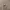 Starp Huawei Band 9 photo 2