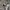 Hoodie Grooverhyme photo 7