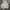 Hoodie Discovery photo 1