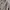 B&G Streetwear Vintage Bomber Jacket Pria Tan