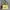 Sling Bag Charles n Keith AUTHENTIC photo 1