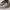 Salomon XT-6 Goretex Vintage Khaki photo 2
