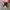 Nike Air Jordan 1 Shattered Blackboard photo 1