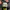 Nike Air Jordan 1 Shattered Blackboard photo 8
