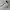 Salomon XT-6 S-Lab Advanced Triple White photo 2