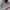 Nike Zoom Vomero 5 Photon Dust Pink Foam Women's photo 2