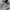 Nike Zoom Vomero 5 Photon Dust Pink Foam Women's