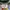 Promo Google I’m Feeling Lucky Ringer Tee photo 5
