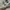 New Balance 1906R White Green Cream photo 2
