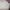 Jeans Highwaist White  photo 1