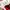 Air Jordan 1 Low  photo 4