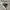 Cycling winter jacket jaket bersepadah assos IJ bonka 6  photo 7