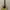 Gitar Yamaha APX 500