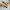 Aldo Bellone Bone Pumps photo 1